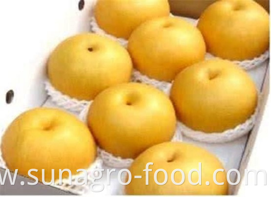 Fresh Quality Snow Pear